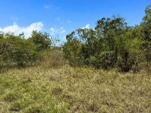 1 Acre for Sale in a Bofa