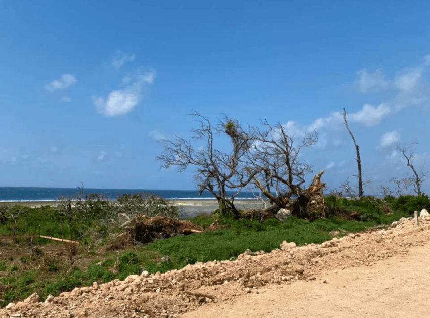Serviced 1/4 and 1/2 Acre Plots for Sale in Vipingo