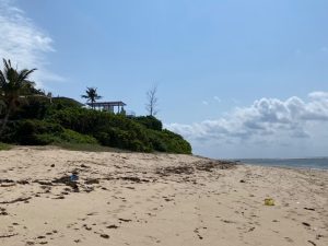 Plots for Sale in Vipingo