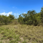 1 Acre for Sale in a Bofa