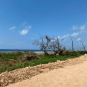 Serviced 1/4 and 1/2 Acre Plots for Sale in Vipingo