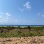 1/4 Serviced Plots for Sale in Vipingo